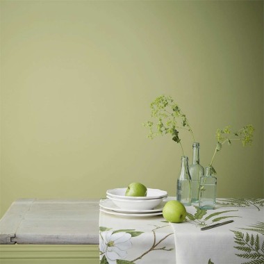 Sanderson - Green Almond - Paint - Anna Morgan London