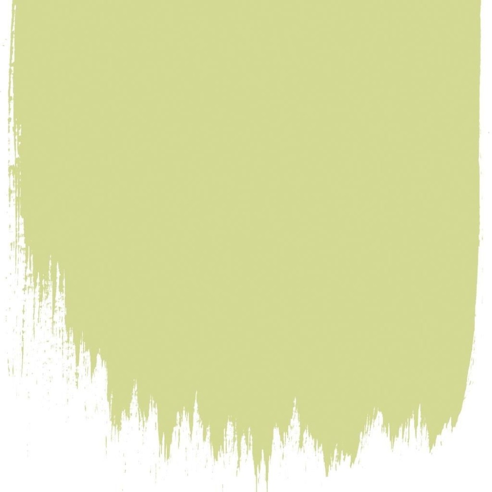 Designers Guild - Trailing Willow No 109 - Designer Paint