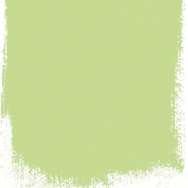 Designers Guild - Mimosa Leaf No 101 - Paint - Anna Morgan