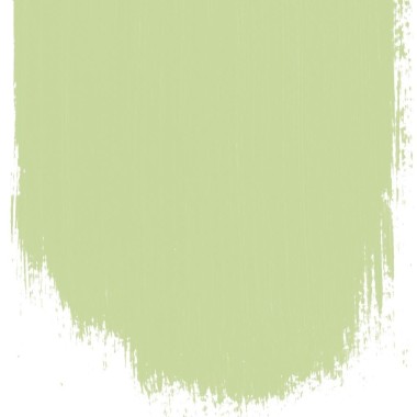 Designers Guild - Cardamon Pod No 103 - Designer Paint