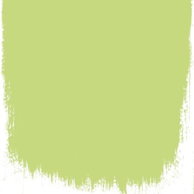 Designers Guild - Lime Tree No 96 - Paint - London